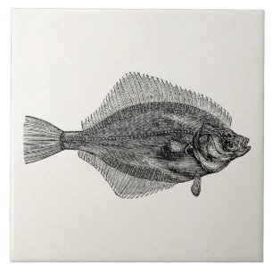 Modelo aquático dos peixes dos peixes da solha do