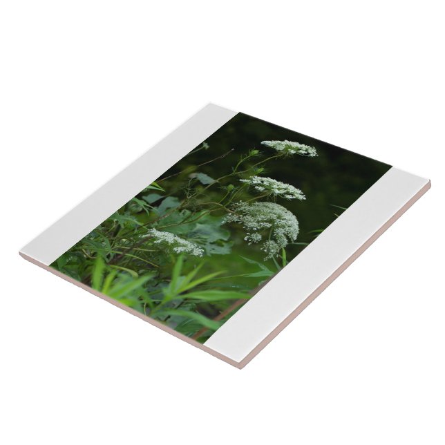 modelo azulejo (Lateral)