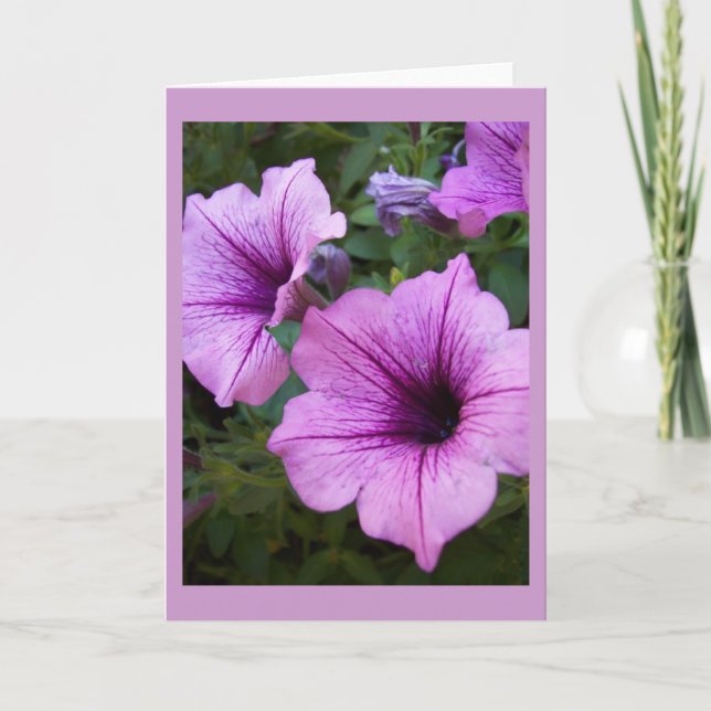 Modelo da placa Petunia (Frente)