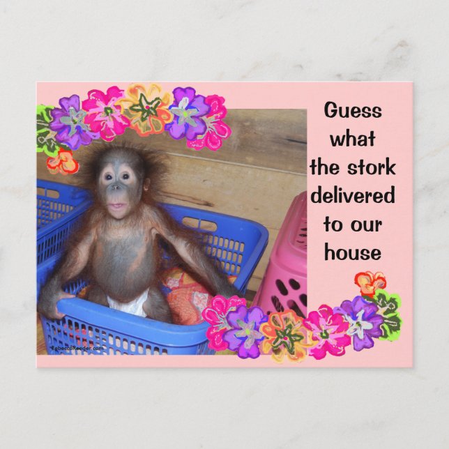 Modelo de Anúncio de Nascimento (Frente)