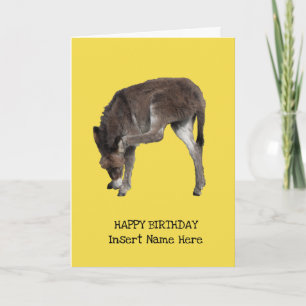 Modelo de burro fofo coçando a orelha