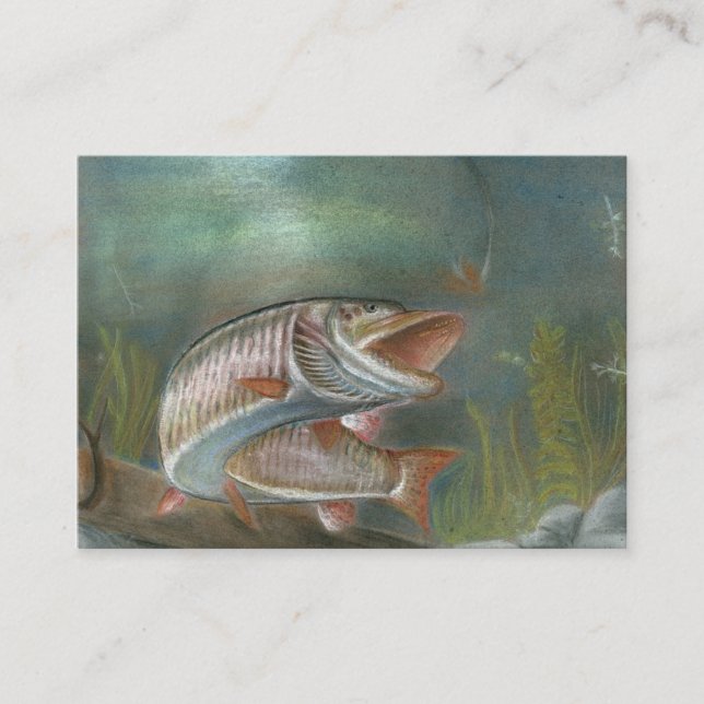 Modelo de cartão de negócios de MUSKIE (Frente)