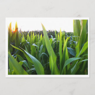 Modelo de convite de foto de colheita de campo de 