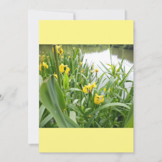 Modelo de Convites de Casamento Personalizáveis