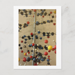 modelo de DNA de cartão postal