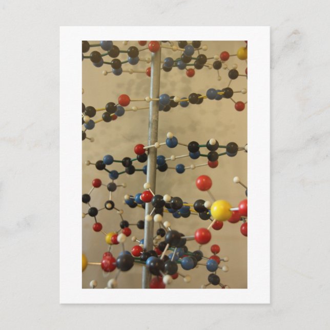 modelo de DNA de cartão postal (Frente)