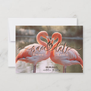 Modelo de Elegante Flamingo de Amor para Salvar a