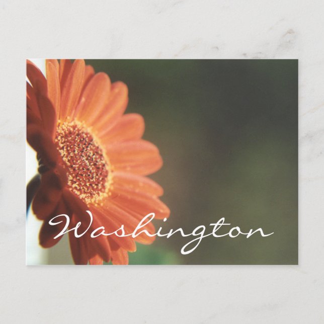 Modelo de Flor Laranja do Cartão Postal Washington (Frente)
