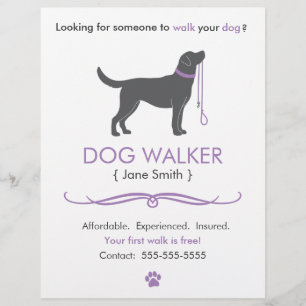 Modelo de Folheto de Cachorro/Walker