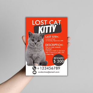 Modelo de Folheto de Gato Perdido - Pet Ausente Pe