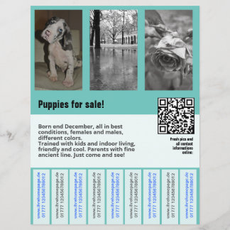 modelo de folheto de venda de cachorros código QR