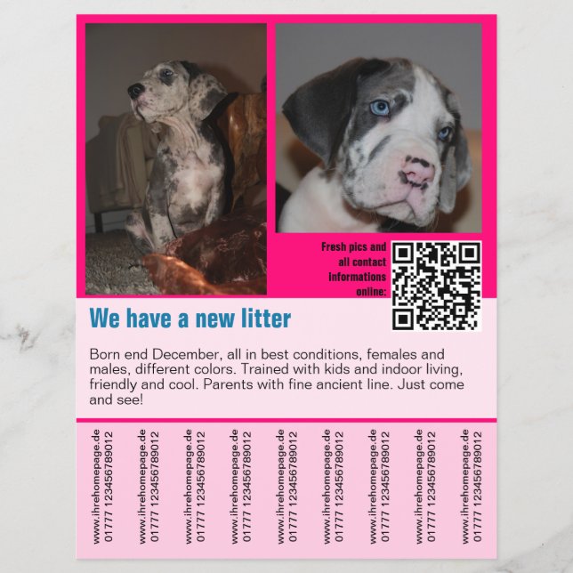 modelo de folheto de venda de cachorros código QR (Frente)
