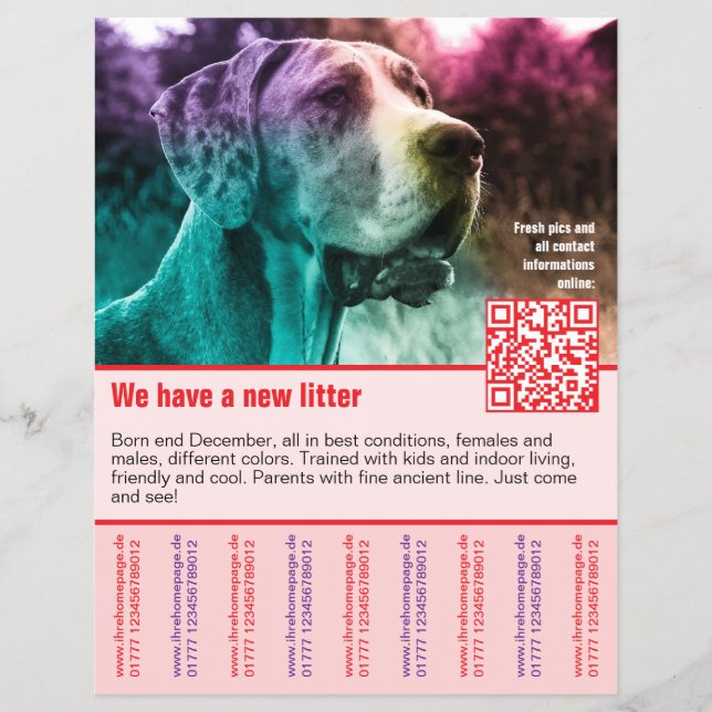 modelo de folheto de venda de cachorros com código (Frente)
