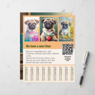 Modelo de folheto de venda de filhotes de Pug com 