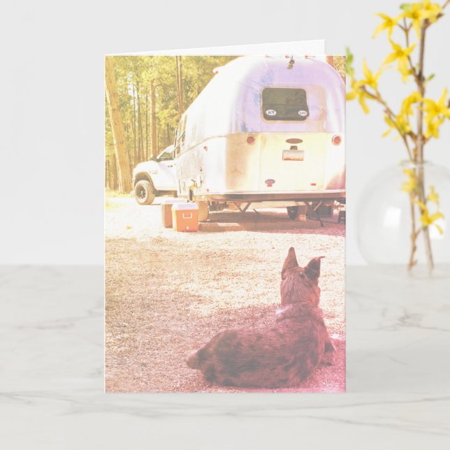 Modelo de Foto de Cachorro em Acampamento 'Pensand (Flor Amarela)