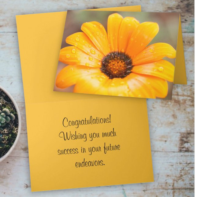 Modelo de Foto de Fechamento do Daisy Africano do  (cover and inside template text greeting card)