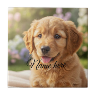 Modelo de foto de nome de animal de estimação simp