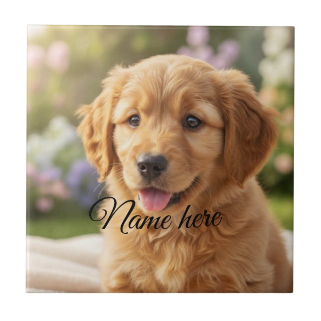 Modelo de foto de nome de animal de estimação simp (Frente)
