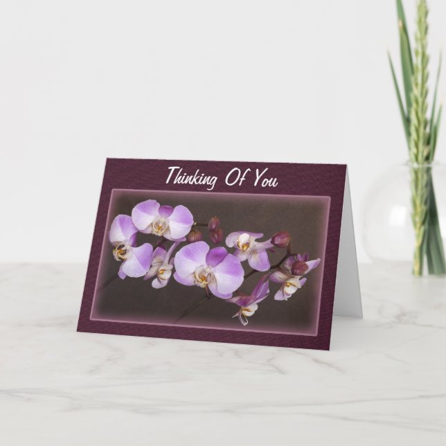 Modelo de Foto de Orquídea Branca Violeta Pensando (Frente)