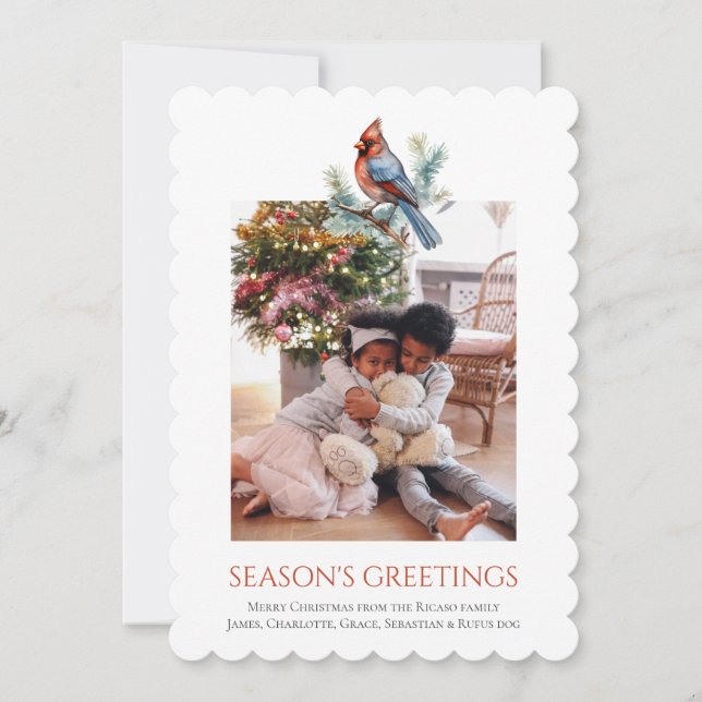 Modelo de Foto de Pássaro Cardinal de Natal (Frente)