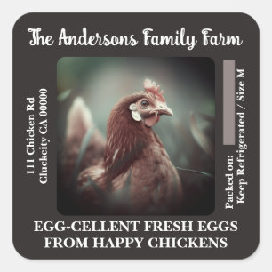 Modelo de Fotografia de Frango com Etiquetas de Ov