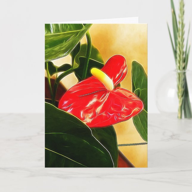 Modelo de Fotografia Floral de Antúrio Vermelho (Frente)