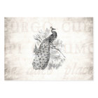 Modelo de Ilustração de Peacock Retroativo da Vint