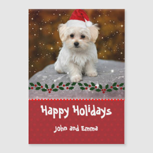 Modelo de Natal de Cachorrinho Maltês Adorável