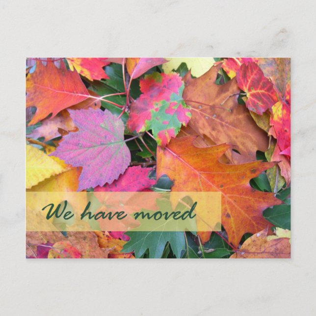 Modelo de Novo Endereço do Chão da Floresta (Frente)