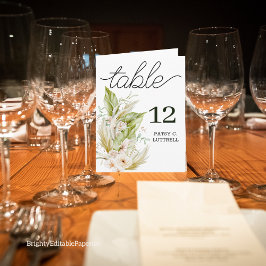 Modelo de Número de Tabela de Pampas Delicados Dob