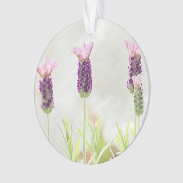 modelo de ornamento claro (Frente)