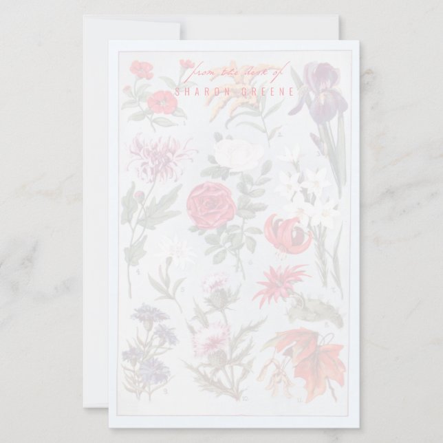 Modelo de Papel Personalizado (Frente)