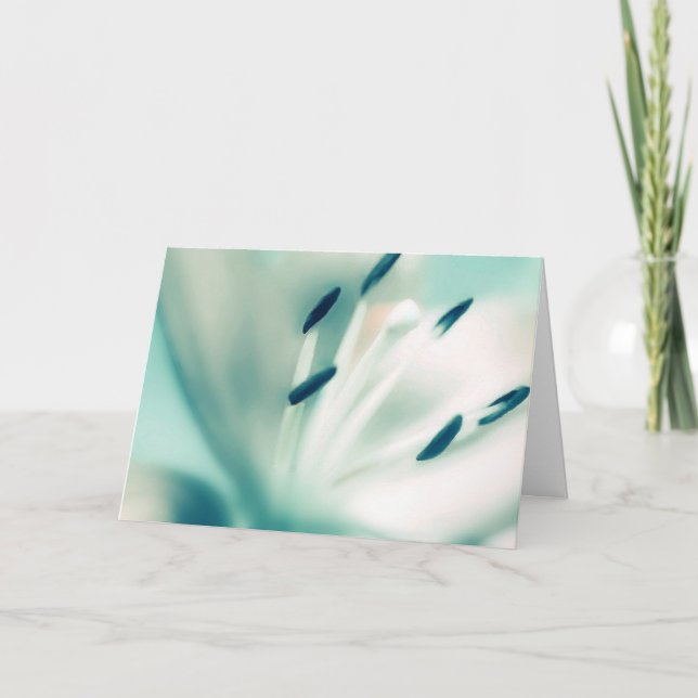 Modelo de placa de saudação ~Flor de lírio Patchou (Frente)