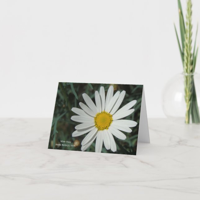 Modelo de placa X (Frente)