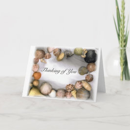 Modelo do Bordo do Sea Shell