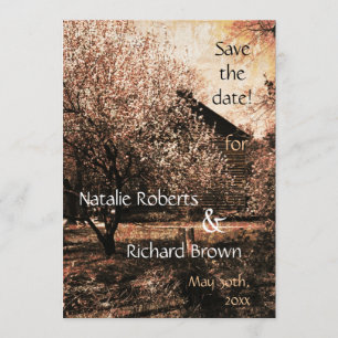 Modelo do convite do casamento do país