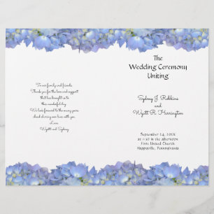 Modelo do Programa de Casamento de Flores de Hydra