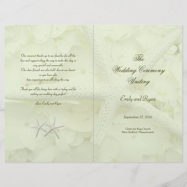 Modelo do programa de Starfish dobrado do jardim d (Frente)