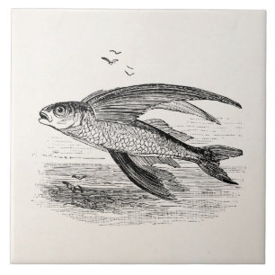 Modelo personalizado antiguidade dos peixes de vô