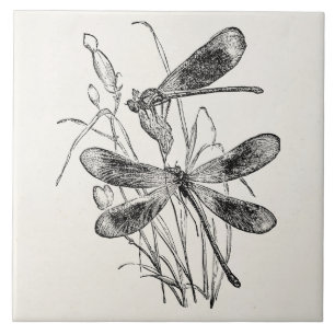 Modelo personalizado libélula do Virgin do vintage