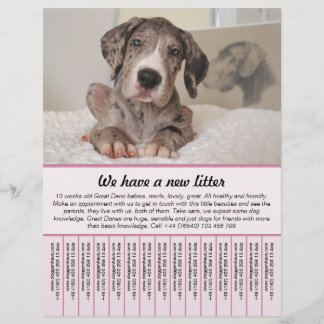 modelos de folheto para venda