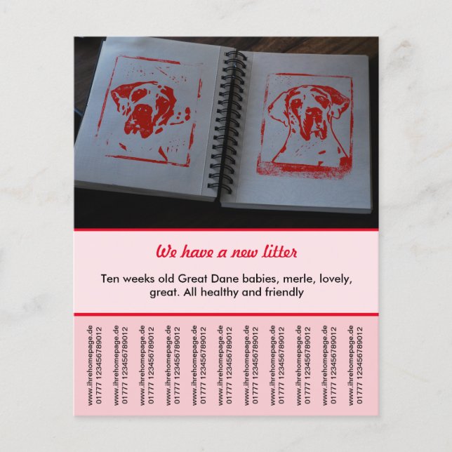 modelos de folheto para venda (Frente)