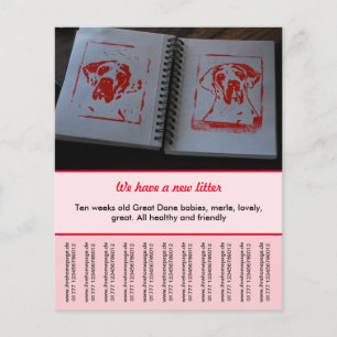 modelos de folhetos para venda de cachorrinhos