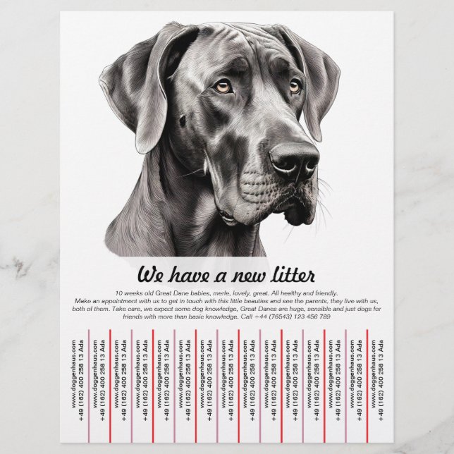 modelos de folhetos para venda de cachorros (Frente)
