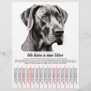 modelos de panfletos de venda de cachorro