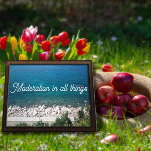 Moderação em todas as coisas poster do proverbo ma