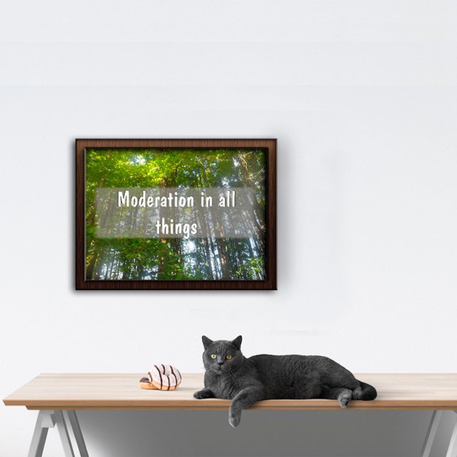 Moderação em todas as coisas poster inspirador (Criador carregado)