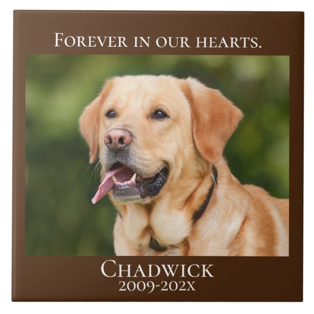 Modern Brown Add Photo Pet Memorial (Frente)