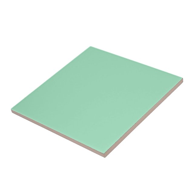 Modern Seafoam Green Plain Solid Color (Lateral)