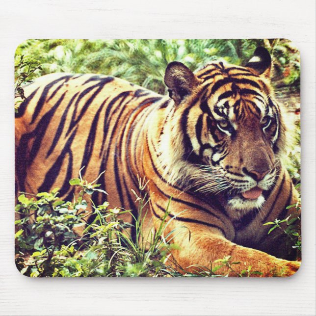 Modern Sumatran Tiger Mousepad (Frente)